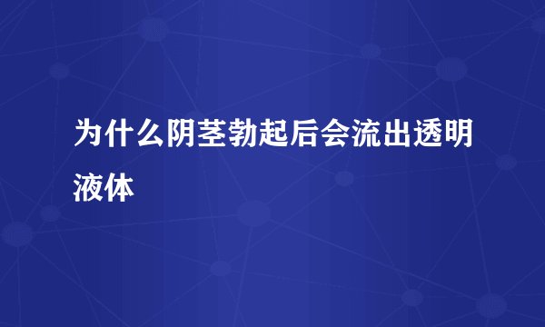 为什么阴茎勃起后会流出透明液体