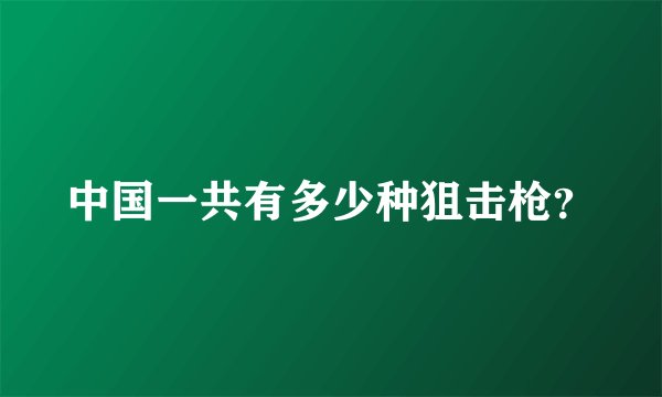 中国一共有多少种狙击枪？