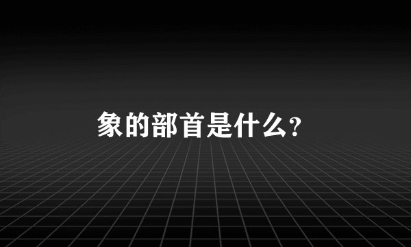 象的部首是什么？