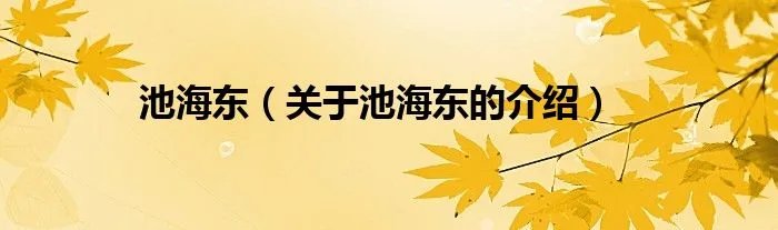 池海东（关于池海东的介绍）