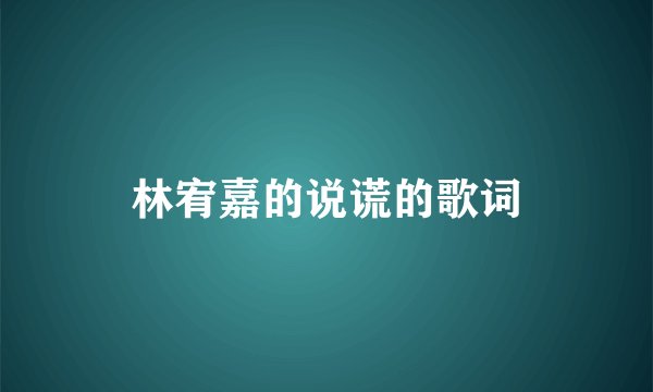 林宥嘉的说谎的歌词