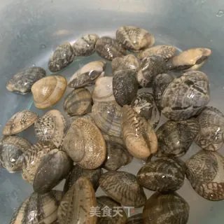 酱香海贝