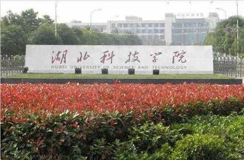 2019年湖北科技学院体育生录取分数线是多少？