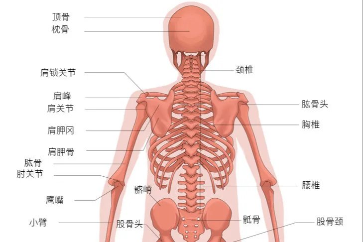 相关推荐
