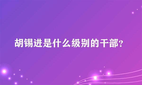 胡锡进是什么级别的干部？