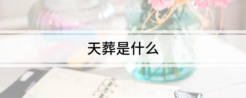 天葬是什么