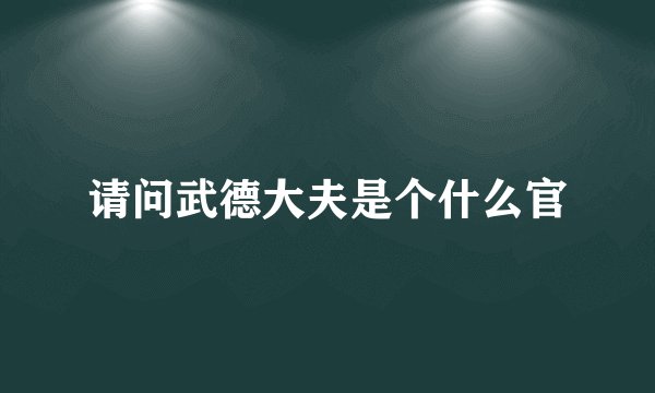 请问武德大夫是个什么官