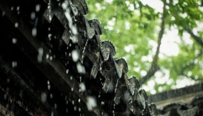 下雨天的心情经典句子 关于下雨天的心情的句子有什么