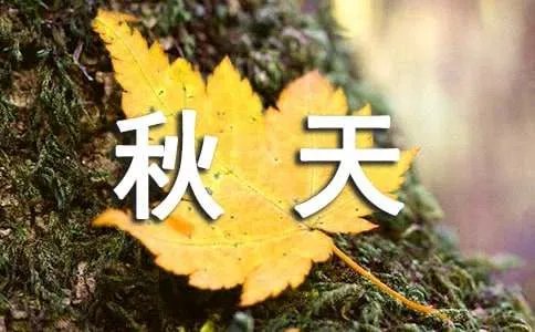 三年级秋天作文