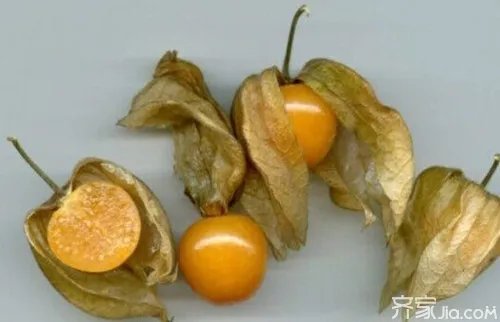 什么是含羞果 含羞果的功效与作用