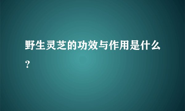 野生灵芝的功效与作用是什么？