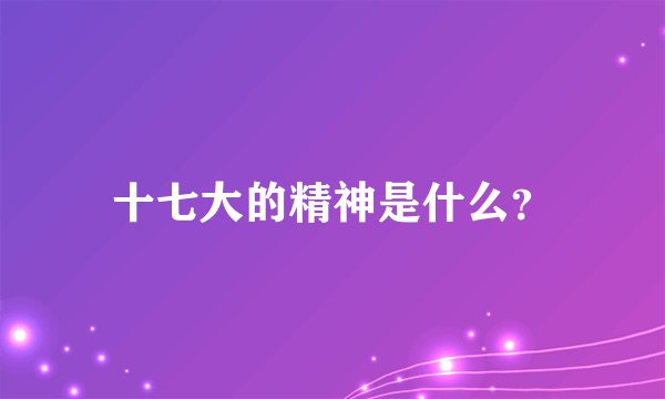 十七大的精神是什么？