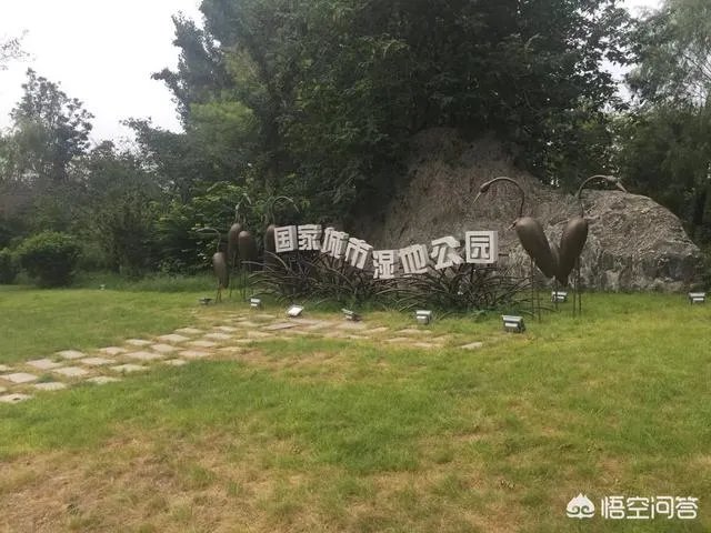 潍坊湿地公园在哪里?有多大?