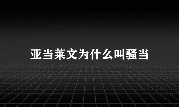 亚当莱文为什么叫骚当