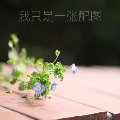 【深圳美食攻略】小编带你吃遍深圳热门美食 深圳特产 深圳名菜