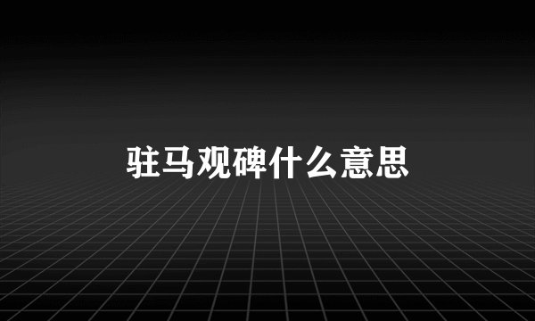 驻马观碑什么意思