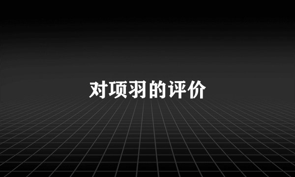 对项羽的评价