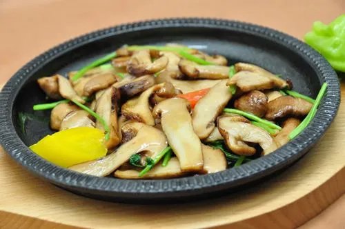 松茸是什么