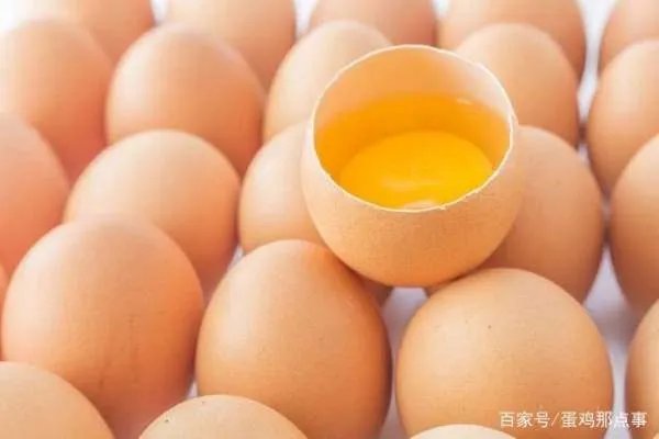 今日鸡蛋价格