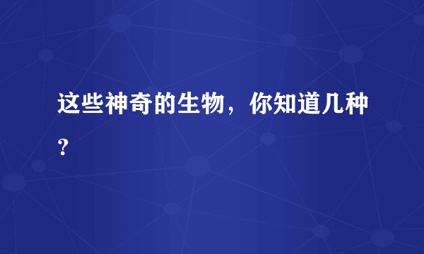 这些神奇的生物，你知道几种？