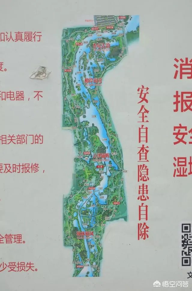 潍坊湿地公园在哪里?有多大?