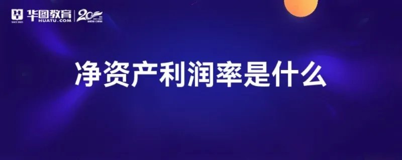 净资产利润率是什么