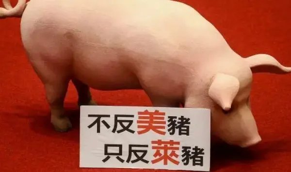 莱猪是什么？