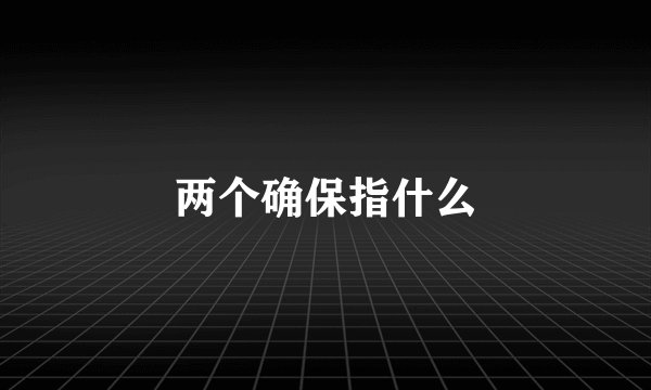 两个确保指什么