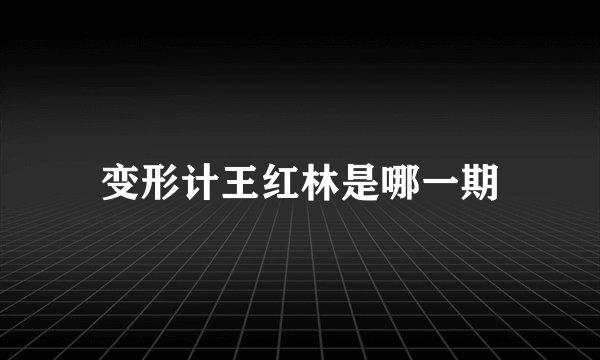 变形计王红林是哪一期
