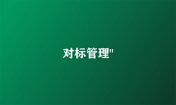 对标管理
