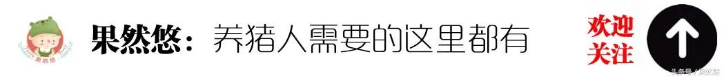 2018年生猪价格行情走势如何?