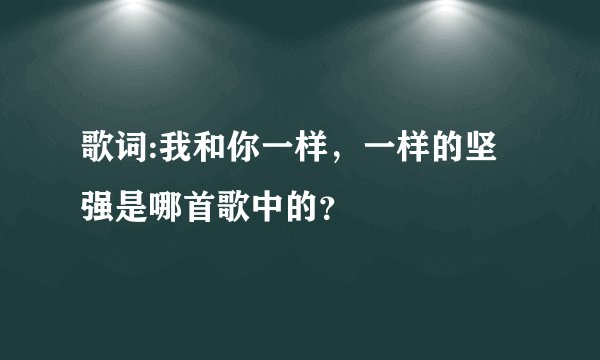 歌词:我和你一样，一样的坚强是哪首歌中的？