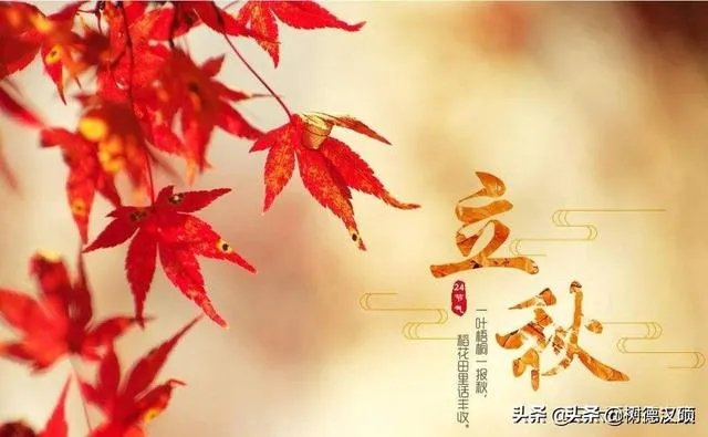 今日立秋,农村老人常说的“啃秋”是什么意思?