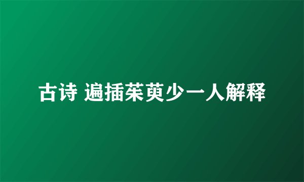 古诗 遍插茱萸少一人解释