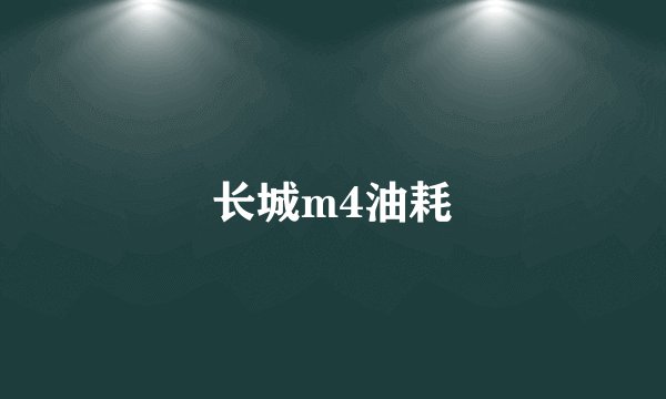 长城m4油耗
