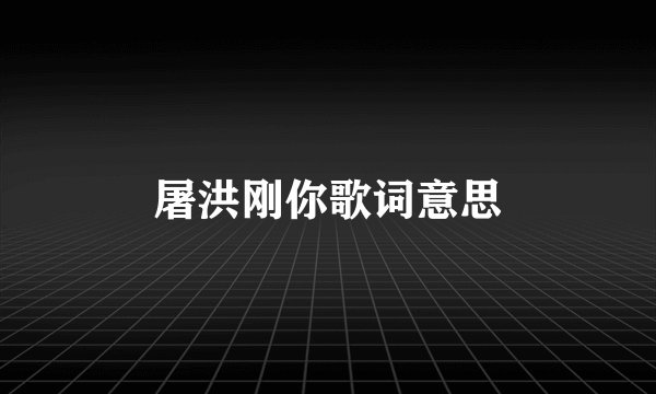 屠洪刚你歌词意思
