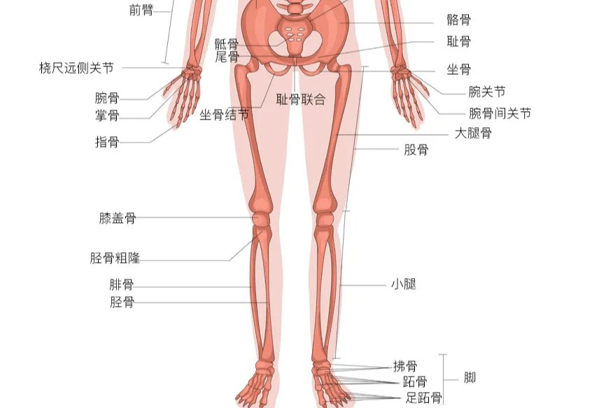 相关推荐